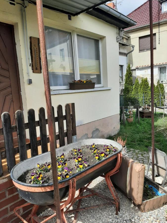 Apartment Sorgenfrei Caputh Kültér fotó